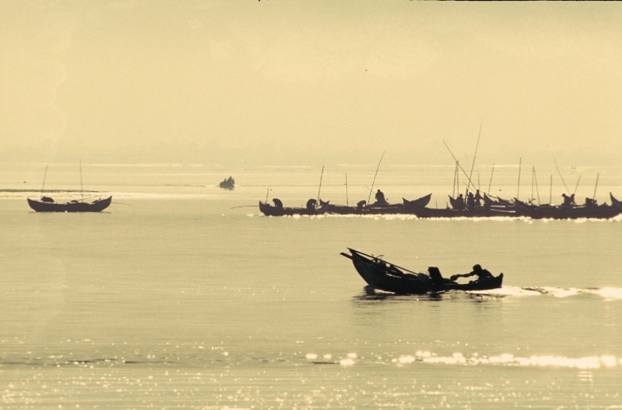 A Sulcar a Ria: embarcações da Ria de Aveiro