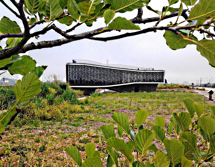 CMIA - Centro Municipal de Interpretação Ambiental